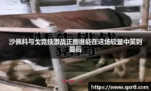 沙佩科与戈竞技激战正酣谁能在这场较量中笑到最后