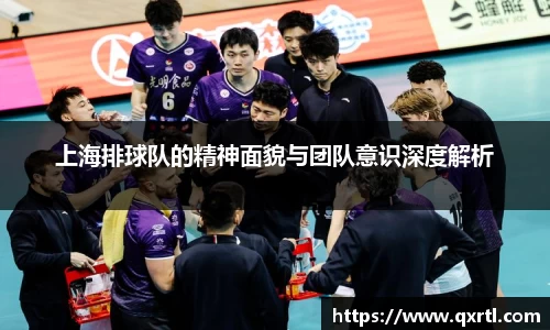 上海排球队的精神面貌与团队意识深度解析